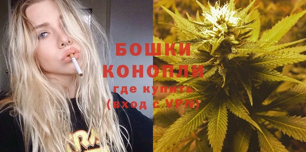трава Аркадак