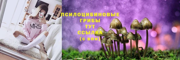 амф Армянск